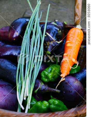 夏季蔬菜 8058060