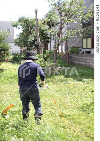 一位中年婦女用家用電動割草機割草花園的後視圖 一位中年婦女用家用電動割草機割草花園的後視圖 8058141