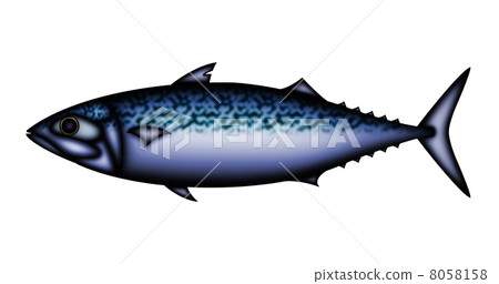 mackerel mackerel 8058158