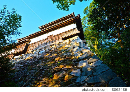福岡城的“Nanno Maru Tanbun Ocho”（福岡縣福岡市中央區城堡） 8062486