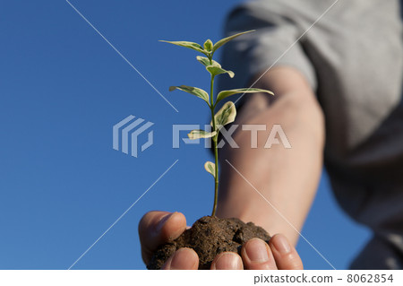 農業 農業 8062854