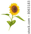 向日葵 8063183