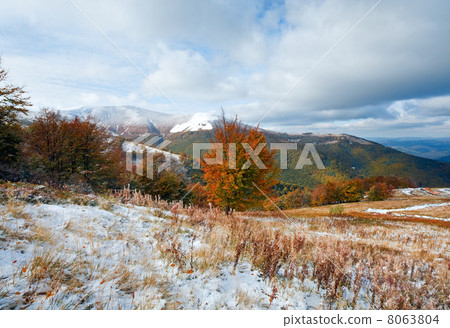 First winter snow and autumn colorful foliage on mountain 8063804