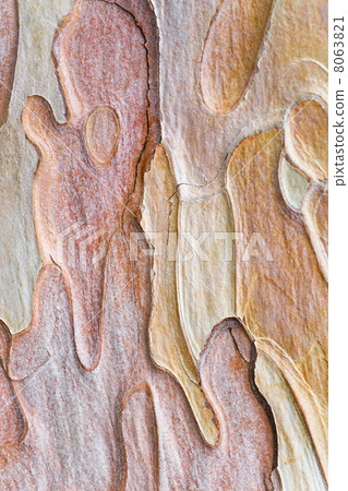 pine bark 8063821