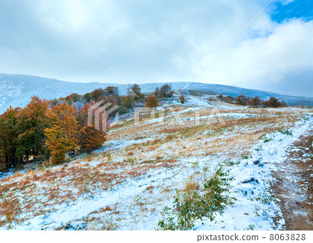 First winter snow and autumn colorful foliage on mountain 8063828