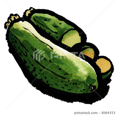 小胡瓜 綠皮西葫蘆 像一封用畫寫成的信 8064353