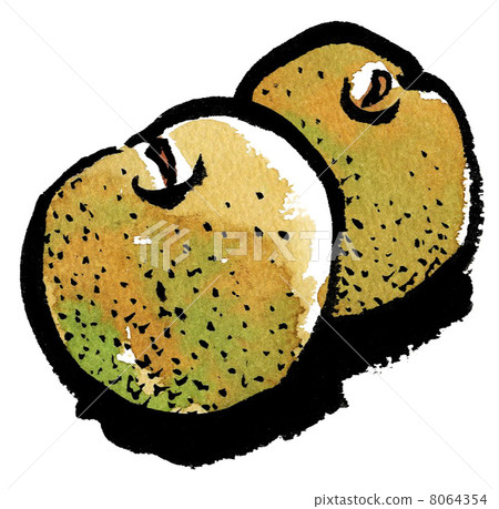 梨 梨子 水梨 8064354