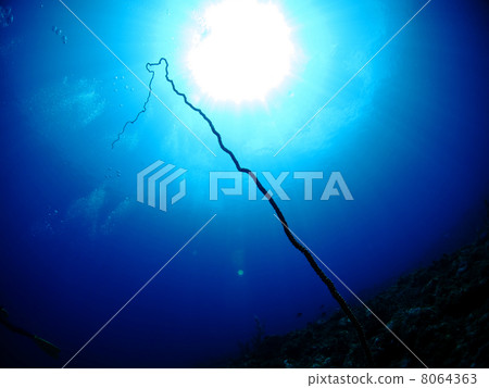 Long tunicaras Long tunicaras 8064363