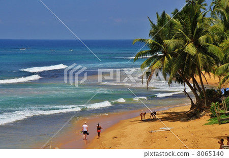 beach resort, beach, beaches 8065140