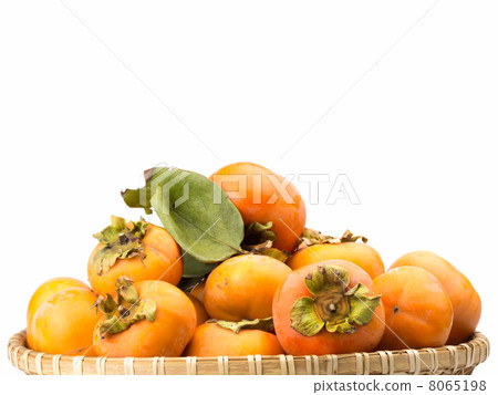 Many sweet persimmon white back Many sweet persimmon white back 8065198