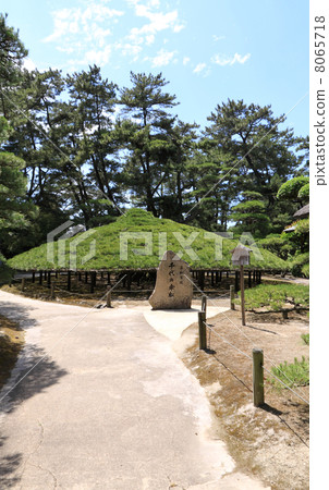 “上川縣丸龜市”中津千禧花園“（Marugame Clan Kyogokuya的移民大名花園）”大傘松“ 8065718