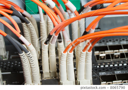 network cables 8065790