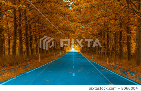 autumnal alley 8066004