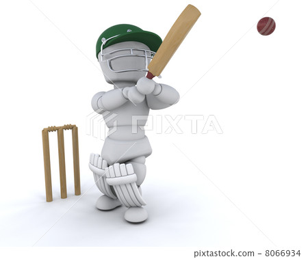 man playing cricket man playing cricket 8066934