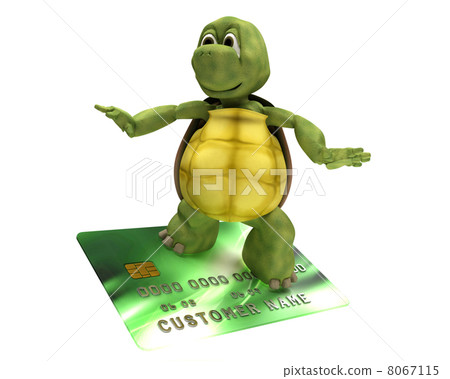 Tortoise with a credit card - Stock Illustration [8067115] - PIXTA