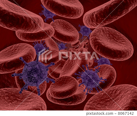 blood cells and bacteria 8067142