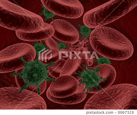 blood cells and bacteria 8067328