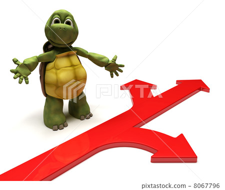 Tortoise with arrows 8067796