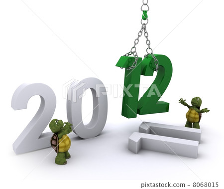 Tortoise Bringing the new year in Tortoise Bringing the new year in 8068015