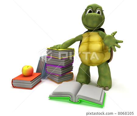 Tortoise reading a book Tortoise reading a book 8068105