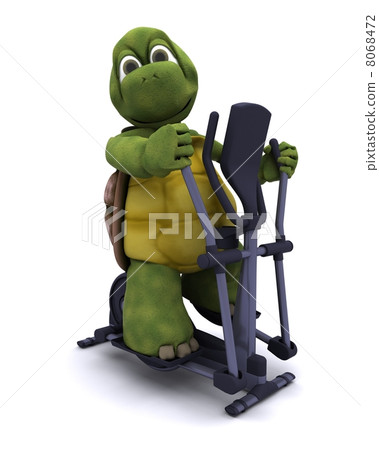 Tortoise with a cross trainer 8068472