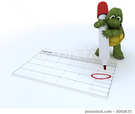 tortoise with a calendar 8068635