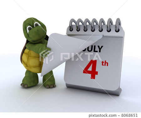 tortoise with a calendar tortoise with a calendar 8068651