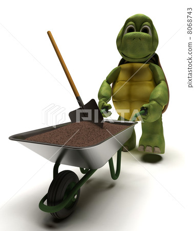 tortoise gardener with a wheel barrow carrying soil tortoise gardener with a wheel barrow carrying soil 8068743