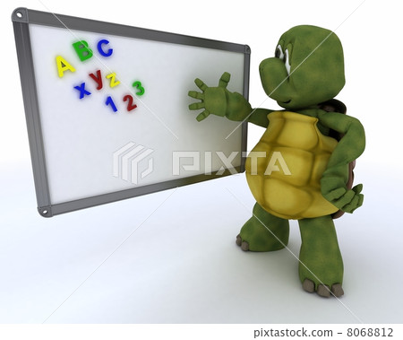 tortoise with White class room drywipe marker board 8068812