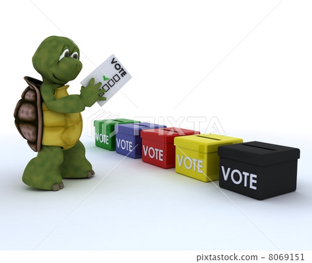 tortoise casting a vote in election 8069151