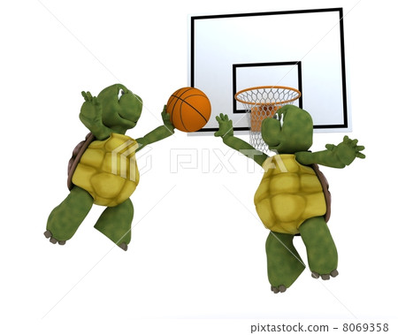 tortoises playing basket ball tortoises playing basket ball 8069358