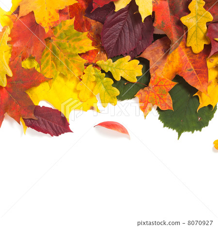 Autumn card of colored leafs 8070927