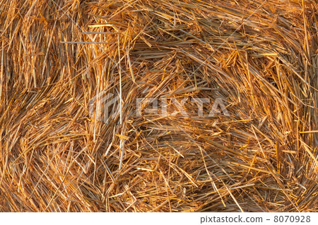 round bale of straw background round bale of straw background 8070928