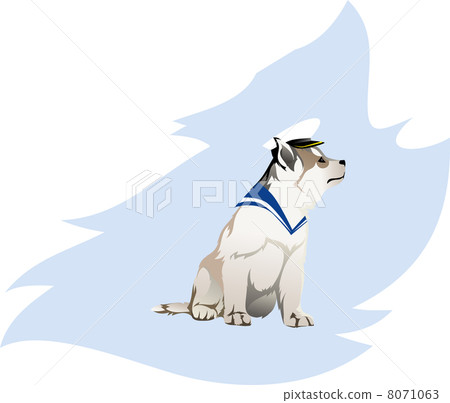Puppy in the form of a sailor Puppy in the form of a sailor 8071063