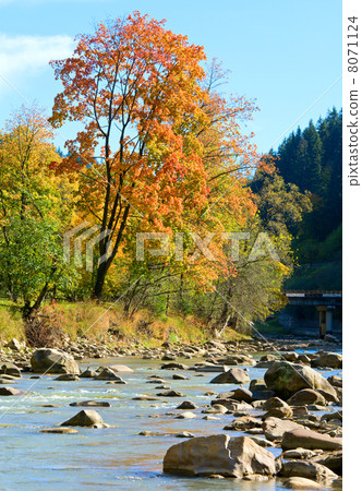 Autumn mountain stony river 8071124