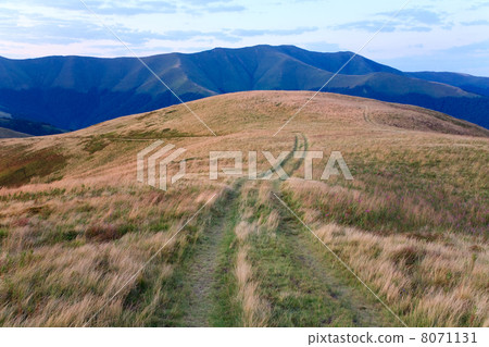 summer misty mountain landscape 8071131