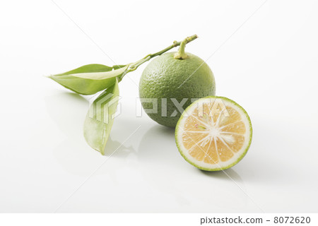 洛斯卡沃斯 8072620