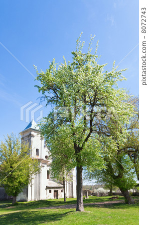 Old church (Sydoriv village, Ternopil region, Ukraine) Old church (Sydoriv village, Ternopil region, Ukraine) 8072743