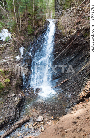 Waterfall and brook in mountain forest ravine 8072765