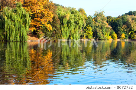 Autumn city park 8072782