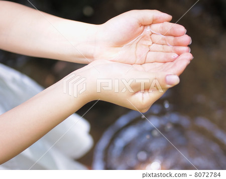 舀 舀 8072784