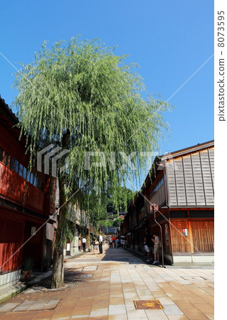 Midsummer 's Higashi Chaya Street 8073595