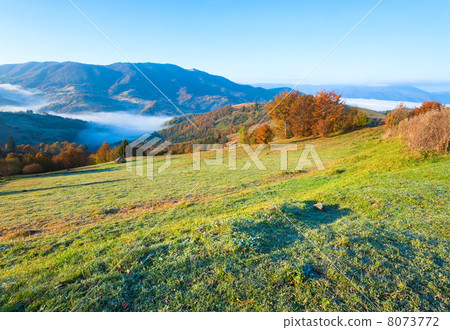 Autumn misty morning mountain hill Autumn misty morning mountain hill 8073772