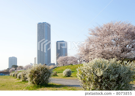 二子玉川 二子玉川 8073855