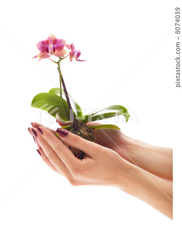 Green thinking Green thinking 8074039