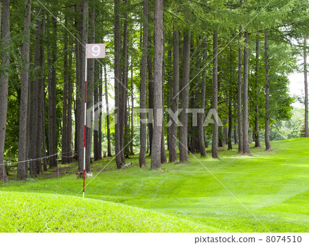Park Golf Course Hall 9 (Horizontal) - Stock Photo [8074510] - PIXTA
