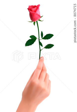 Hand holding red rose 8074715