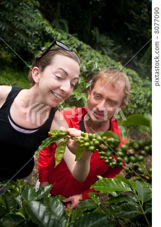 American and European couple on coffee plantation in Costa Rica 8077090