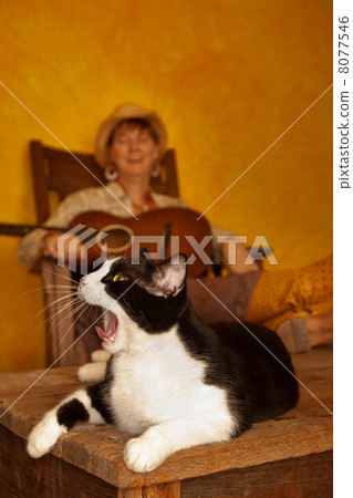 Pretty Western Woman with Guitar and cat 8077546