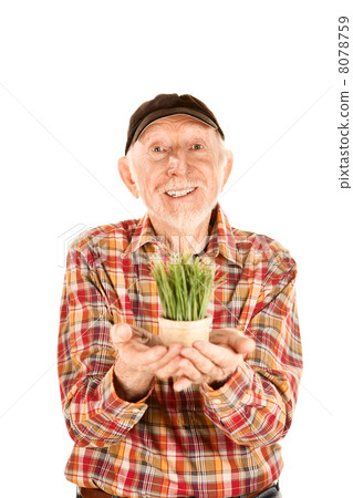 Handsome senior man with grass in small pot 8078759